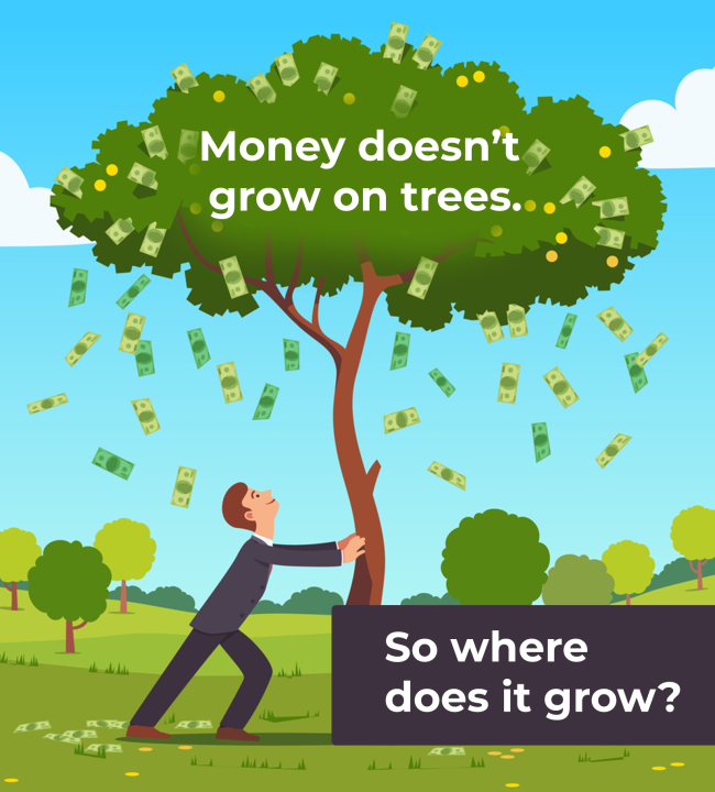 money tree spokane valley Money Tree with Landscape Wall Mural  Wallmonkeys